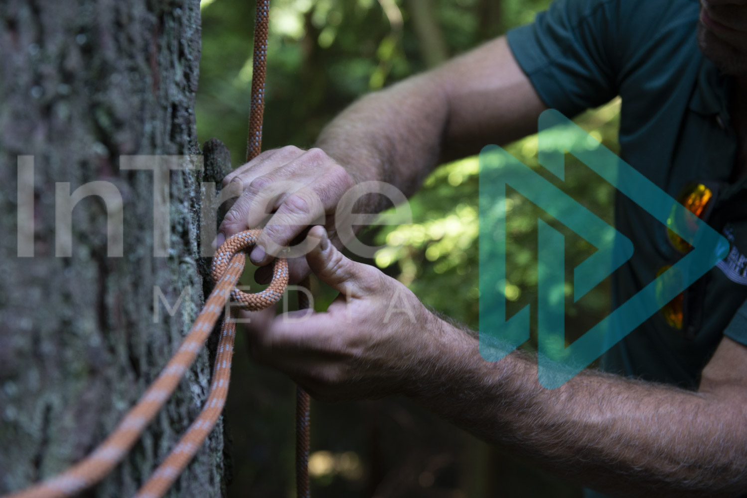 Hands Tying Running Bowline Knot Arborist Stock Photo InTree Stock Arborist