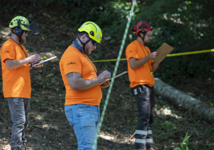 BCTCC 2023 tree climbing competition