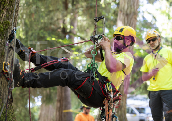 BCTCC 2023 tree climbing competition