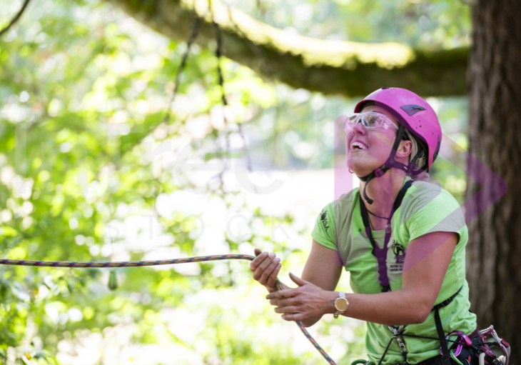 BCTCC 2023 tree climbing competition