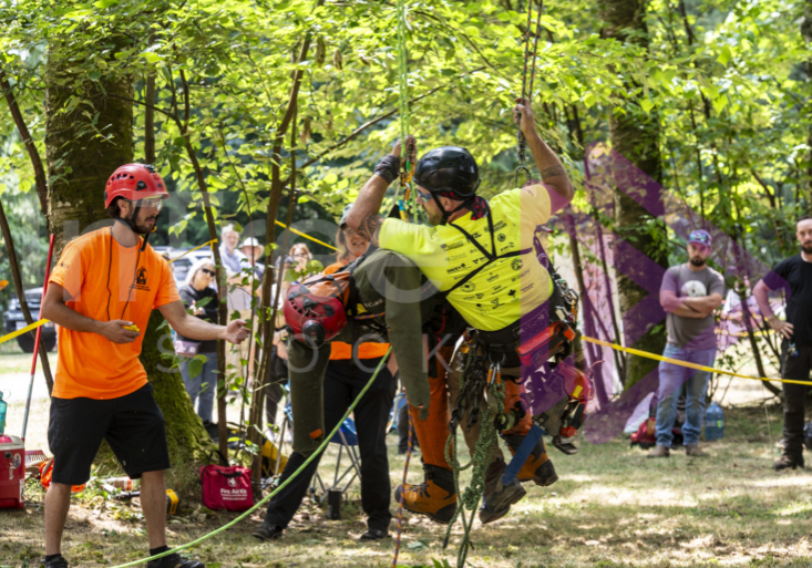 BCTCC 2023 tree climbing competition