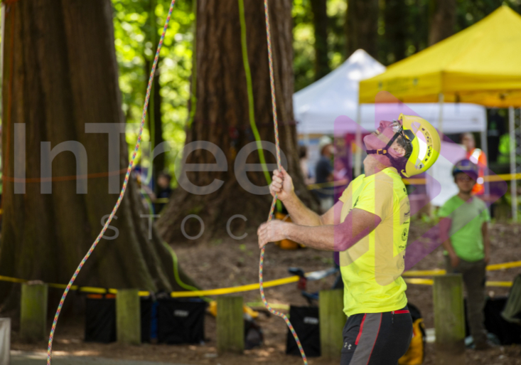 BCTCC 2023 tree climbing competition