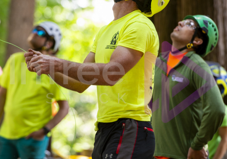 BCTCC 2023 tree climbing competition