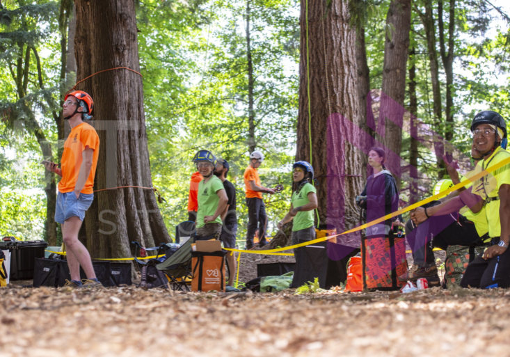 BCTCC 2023 tree climbing competition