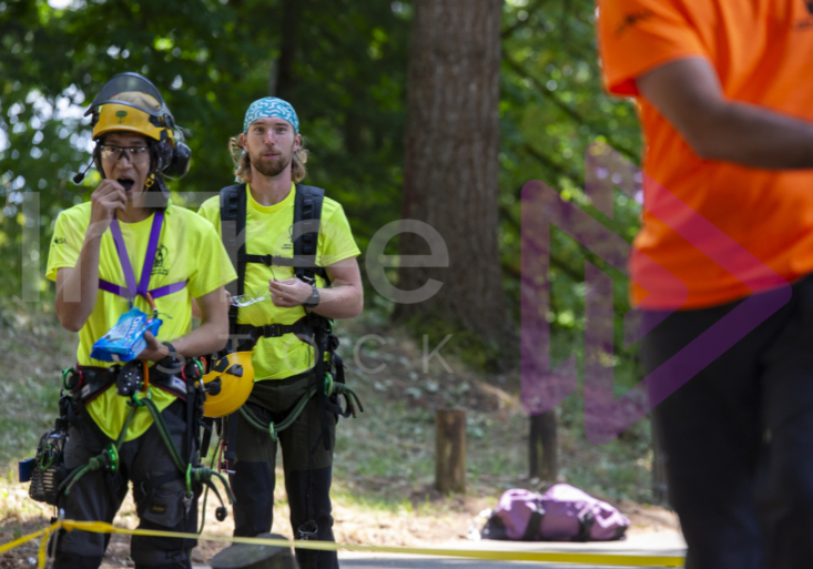 BCTCC 2023 tree climbing competition