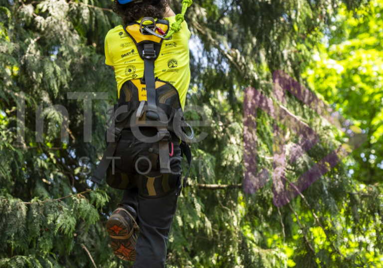 BCTCC 2023 tree climbing competition