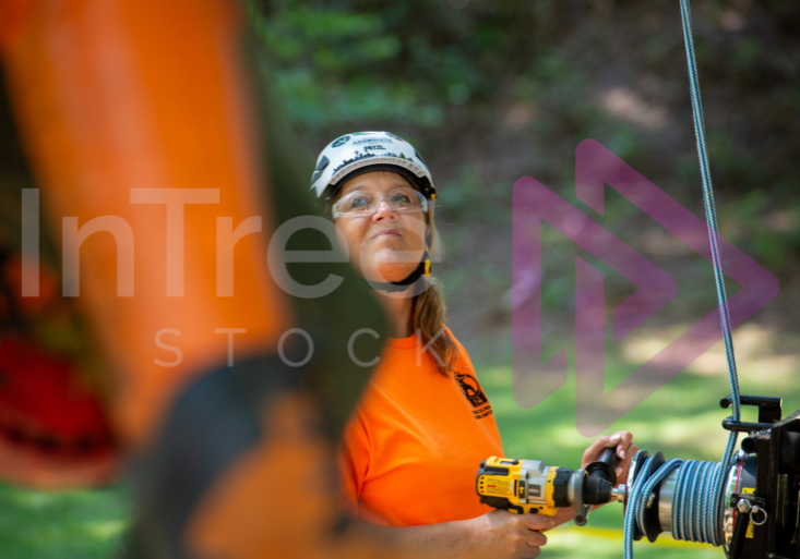 BCTCC 2023 tree climbing competition