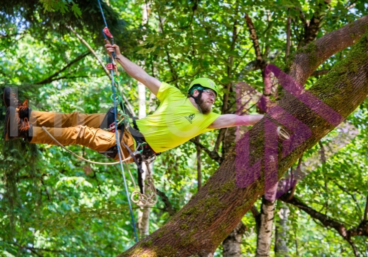 BCTCC 2023 tree climbing competition