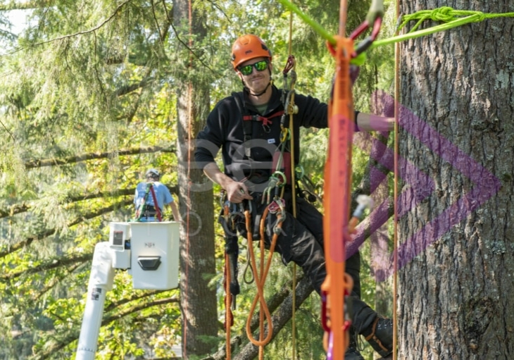 The PNW ISA, BC Tree climbing competiton