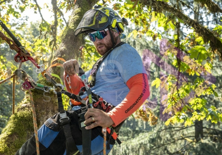 The PNW ISA, BC Tree climbing competiton