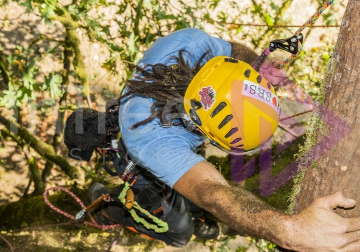 The PNW ISA, BC Tree climbing competiton