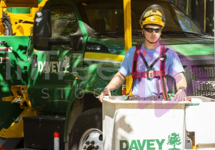 The PNW ISA, BC Tree climbing competiton