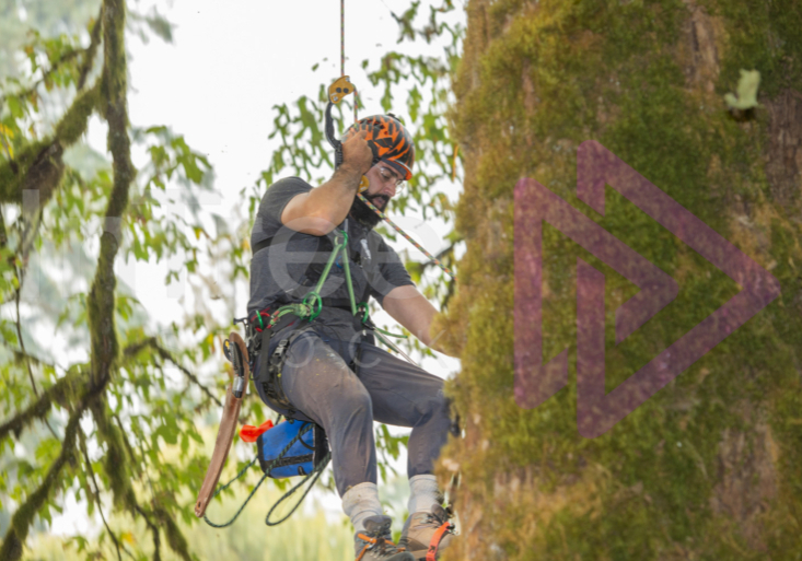 The PNW ISA, BC Tree climbing competiton Masters event