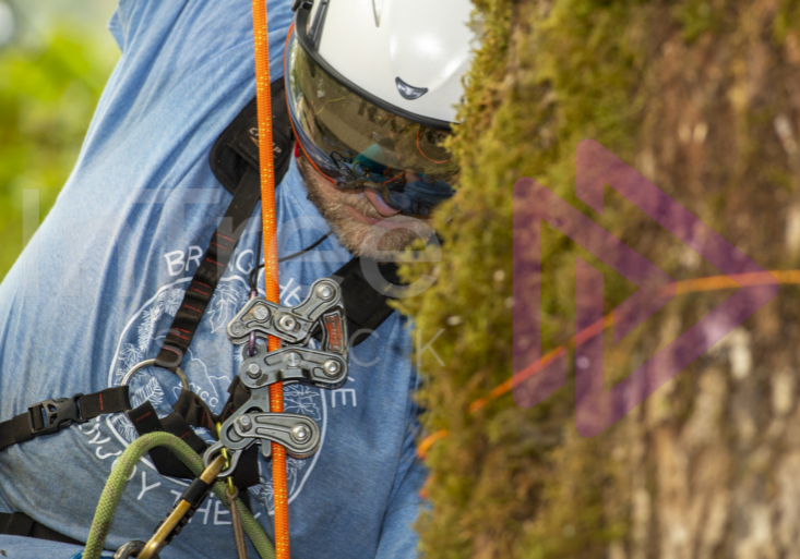 The PNW ISA, BC Tree climbing competiton Masters event