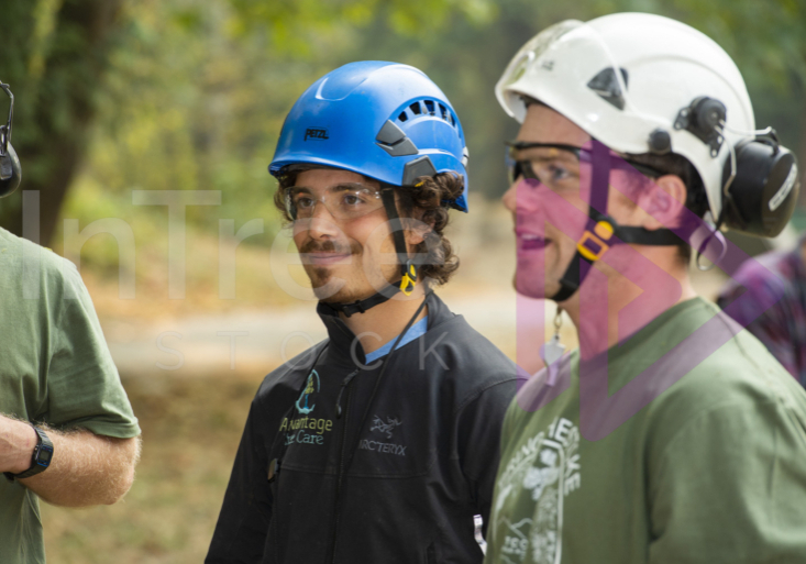 The PNW ISA, BC Tree climbing competiton Masters event