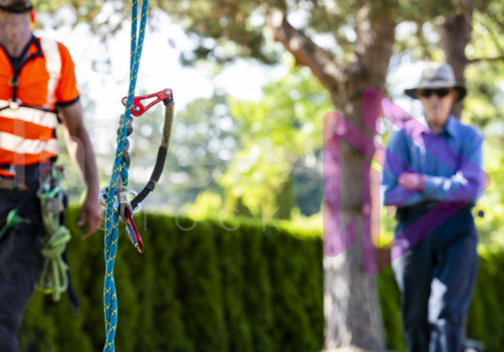 Blurred photo of arborist and resident with SRS climbing system