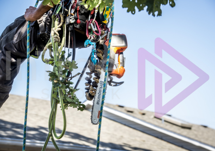 Chainsaw hanging from climbers harness