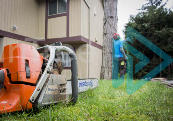 Husqvarna chainsaw on the ground with arborist blurred in the background getting ready to fell a tree