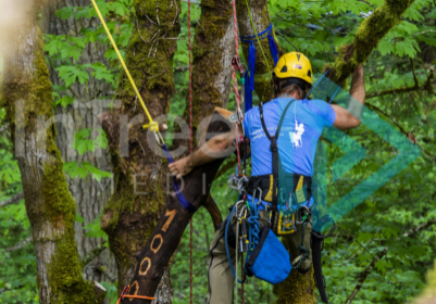 Climbing competition rigging challenge