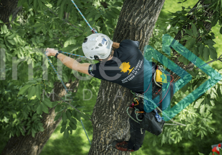 Male arborist tending slack oon a stationary rope system