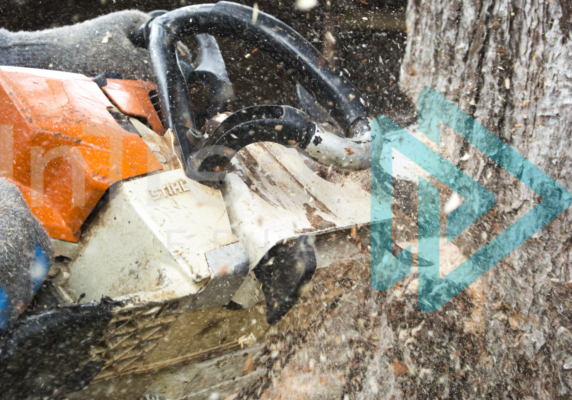 closeup shot of chainsaw and sawdust on a tree removal