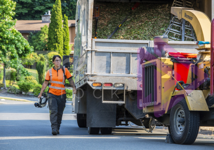 Female arborist walking alongside chip truck