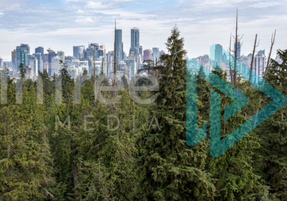 Vancouver Juxtaposition, a city almost dwarfed by trees in Stanley Park