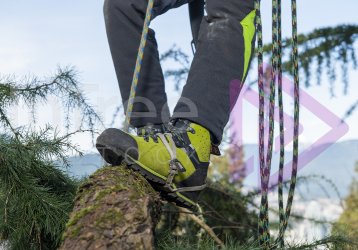 Green chainsaw boots standing on cedar branch