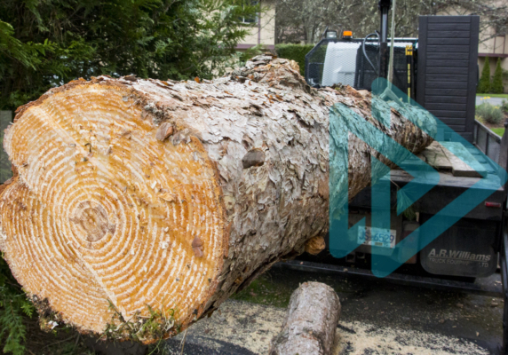 Stem wood loaded on the back of a HIAB