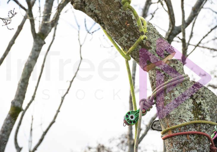 Large log wood being rigged into DMM Impact block