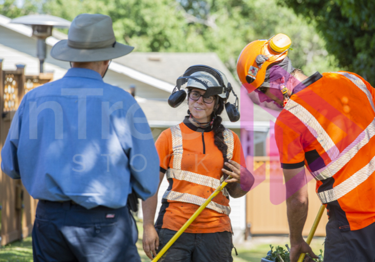 Man in blue shirt talking with female arborist holding rake