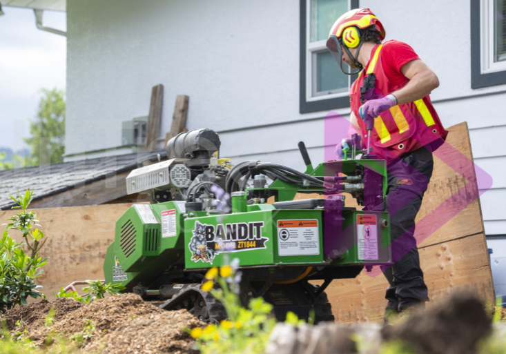 Man in hi-viz operating a green stump grinder