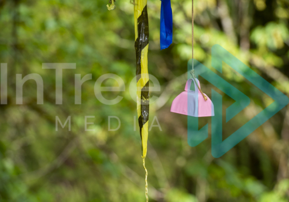 pink climbing competition bell hanging in a tree for a work climb