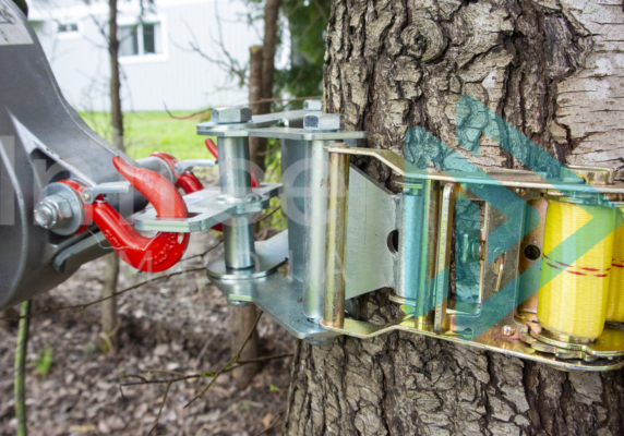 Portable winch attached to base of a tree